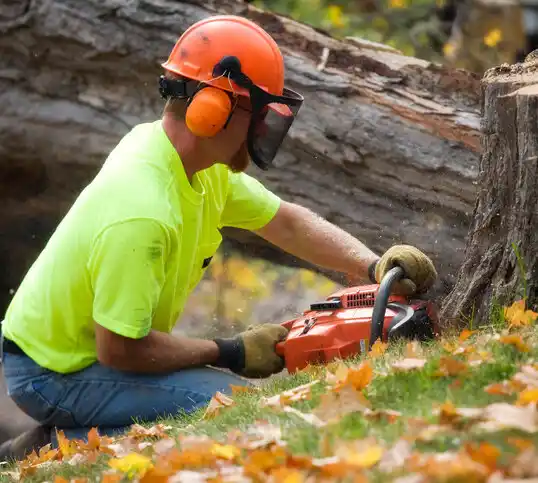 tree services Blacklick Estates